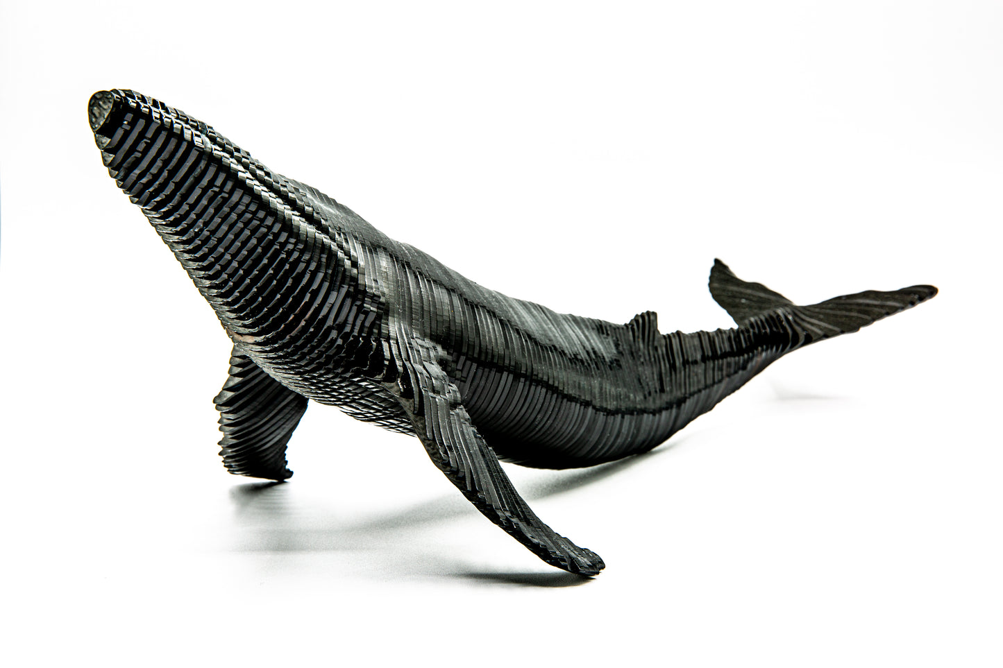 Humpblack Whale