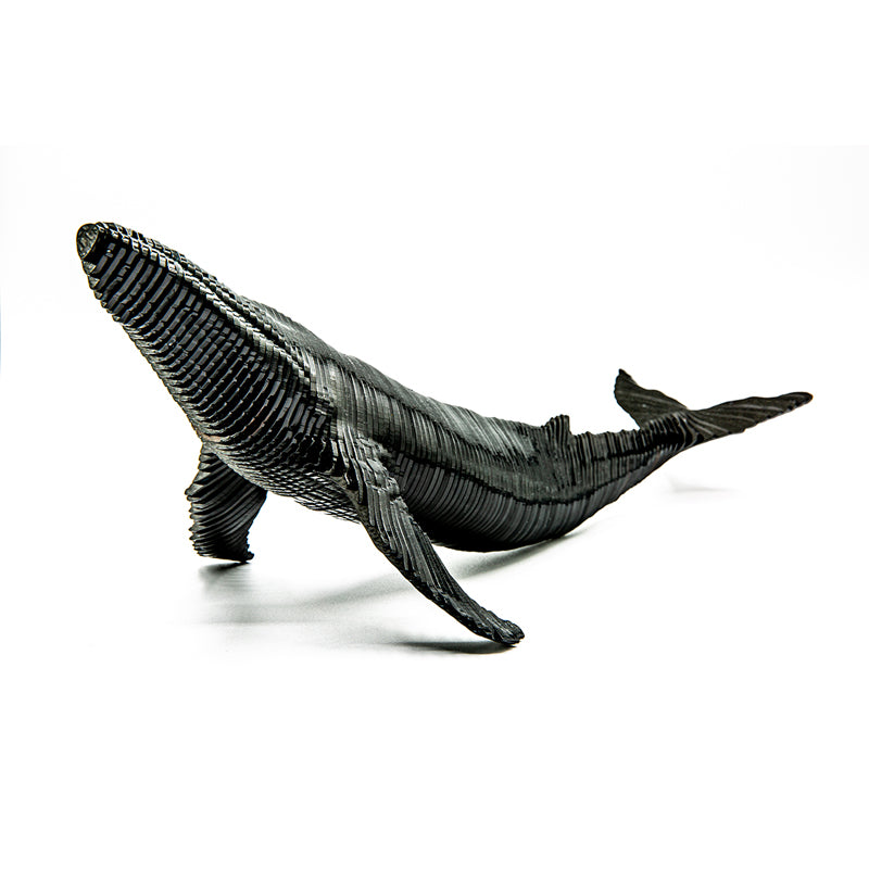 Humpblack Whale
