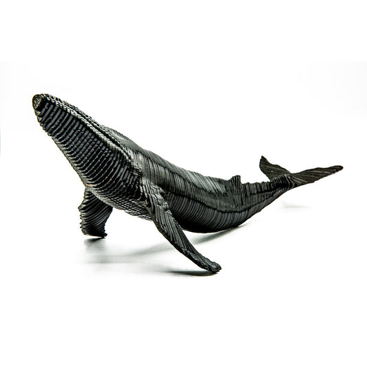 Humpblack Whale