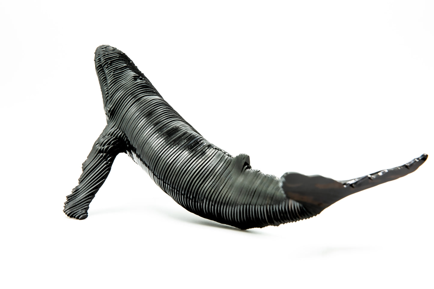 Humpblack Whale