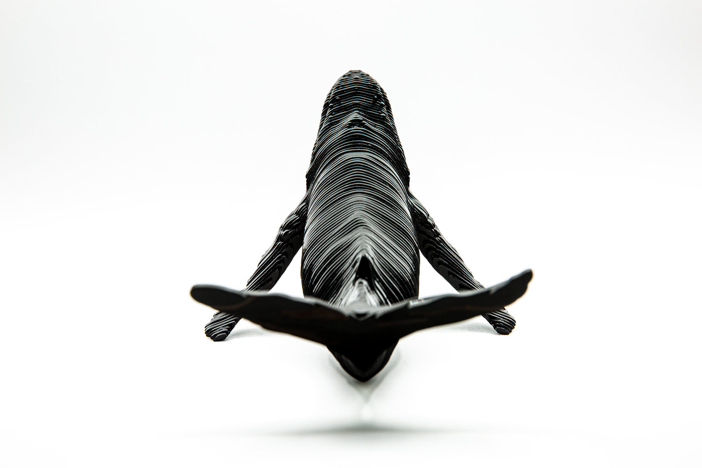 Humpblack Whale