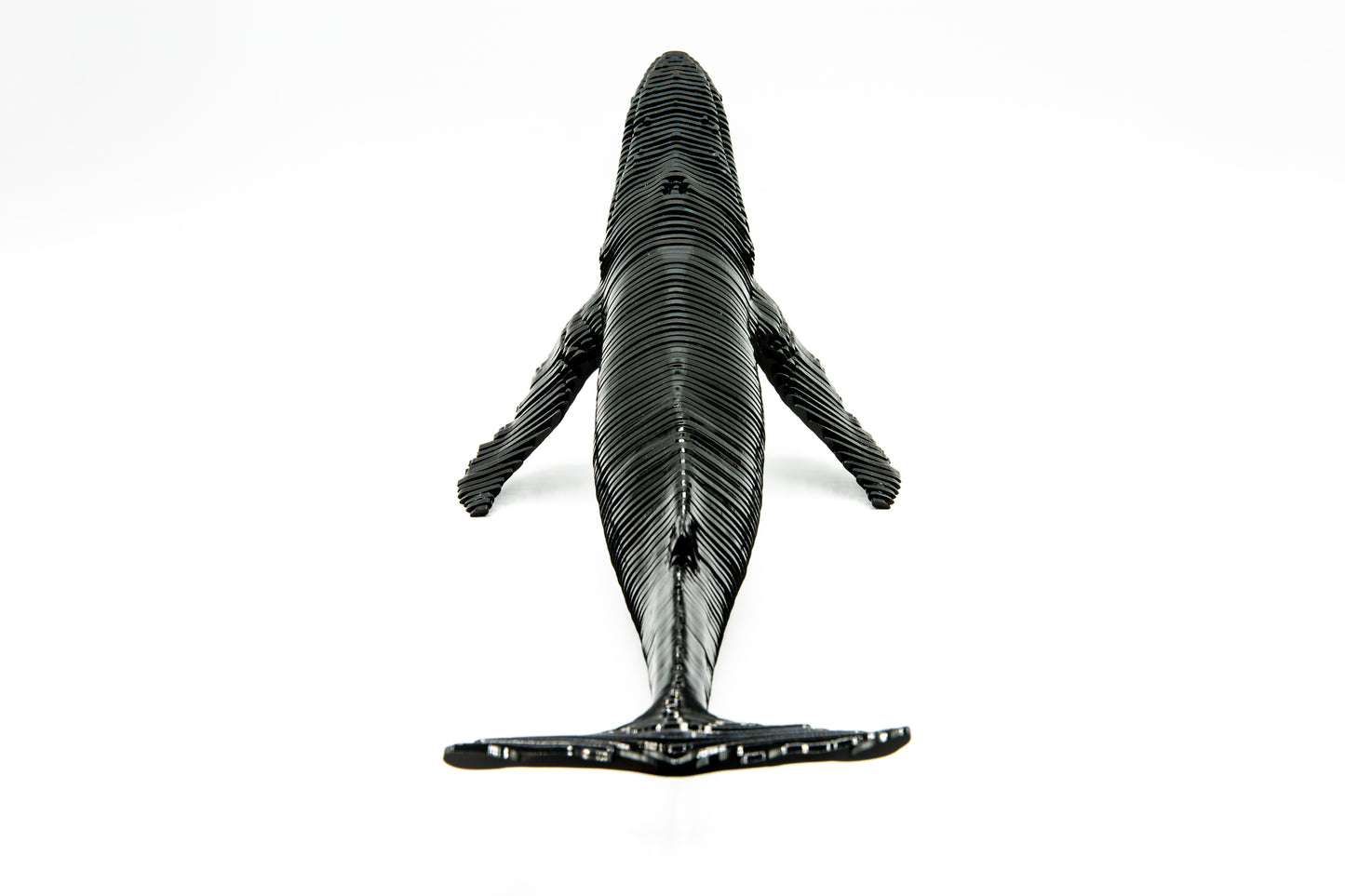 Humpblack Whale