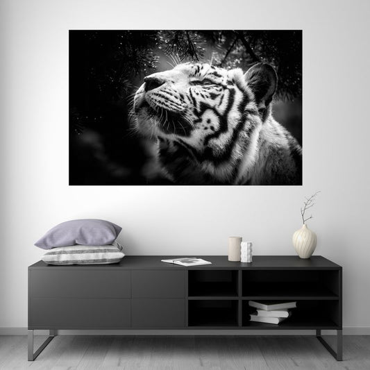 White Tiger