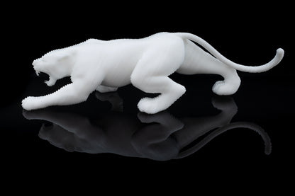 Humpblack Whale