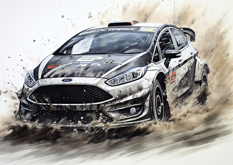 Ford Fiesta Rally - I