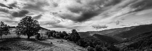 Vosges Landscape