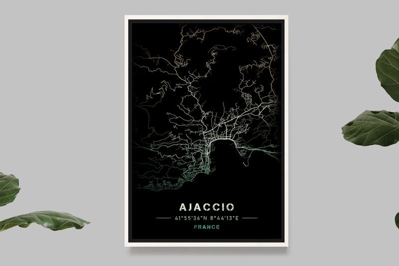 Ajaccio - Carte Jaune et Vert