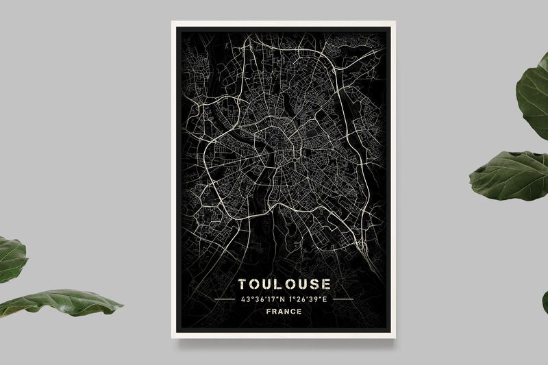 Toulouse - Carte Noir et Blanc