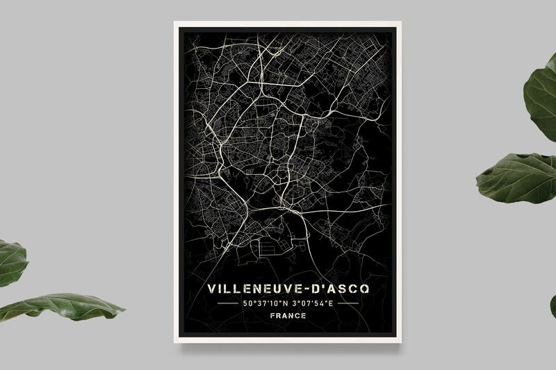 Villeneuve d'Ascq - Carte Noir et Blanc